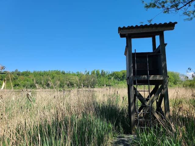 Aussichtsturm Chli Moossee - Image 1