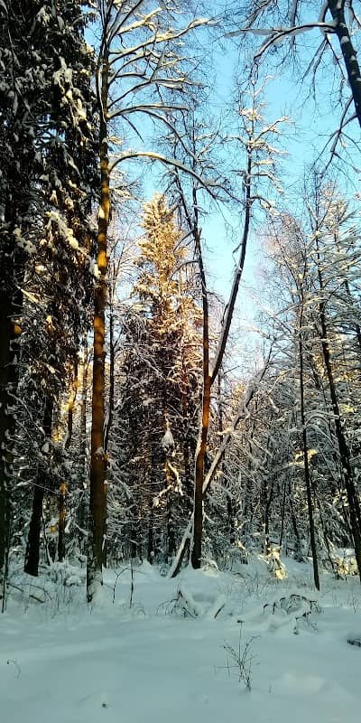 Lesnaya Tropinka - Image 1