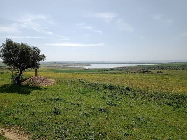 Ghdir El Golla - Mornaguia - Image 1