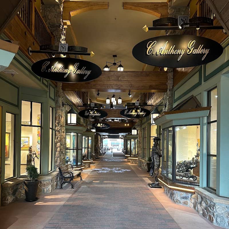 C Anthony Gallery - Image 2