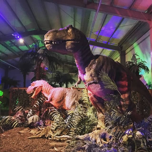 Deokpyeong dinosaur the Arboretum - Image 2