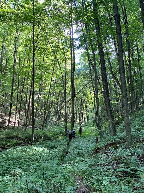 Hammersley Wild Area - Image 3