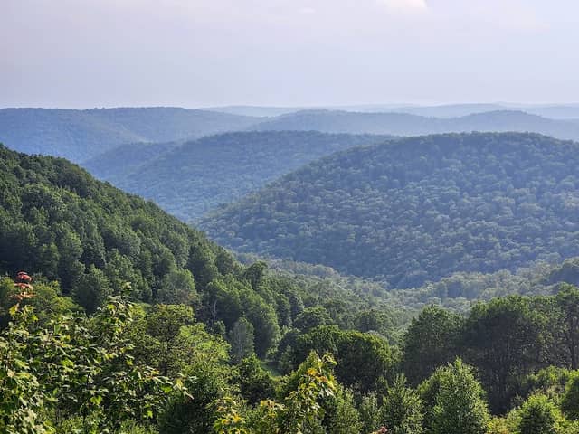 Hammersley Wild Area - Image 1
