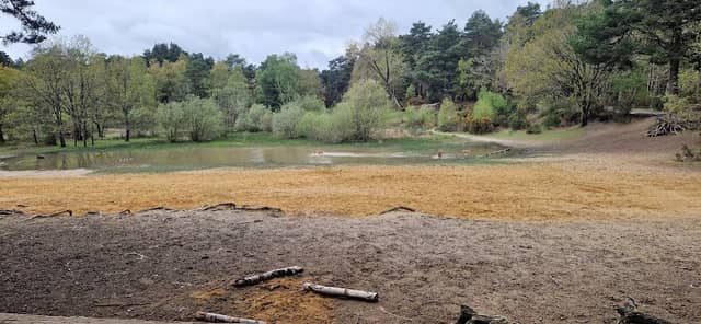 The Sandpit - Image 1