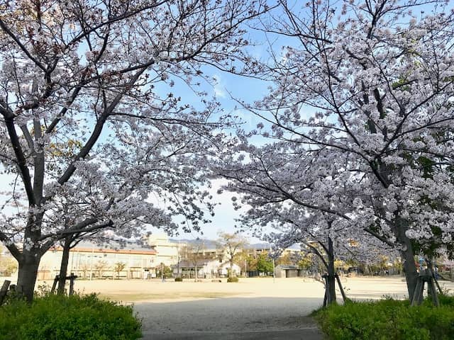 Takagi Park - Image 1