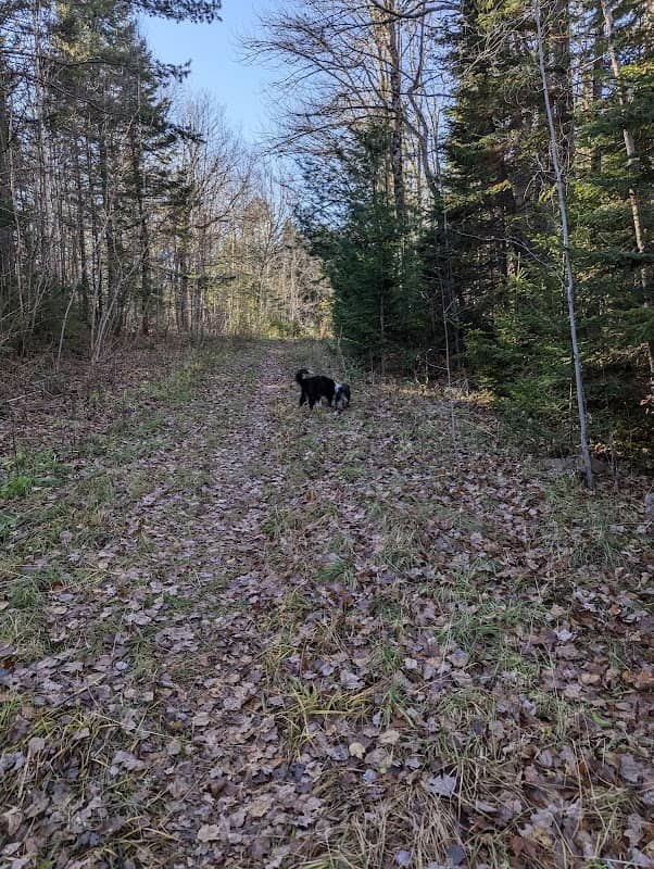 Bowie Nature Park - Image 1