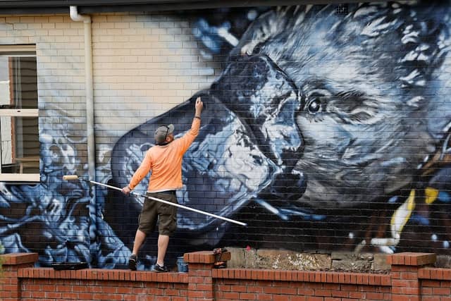 Hobart Rivulet Platypus Mural - Image 1