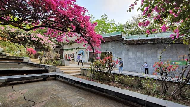 Western Garden - Image 1