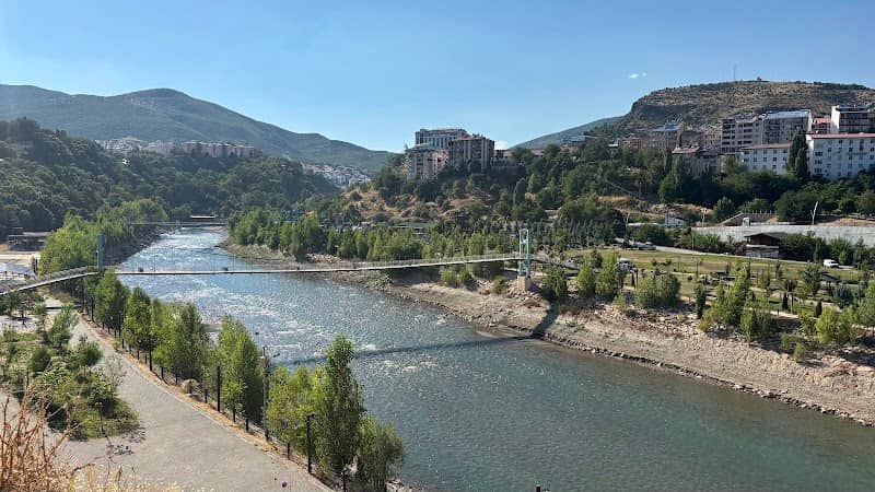 Tunceli Urban Forest - Image 2