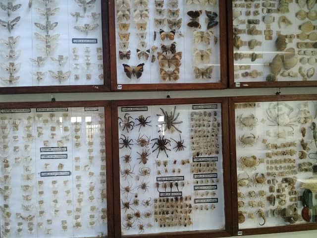 Museum Campos Gerais - Image 1