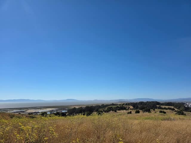Highest Point Of Mare Island - Image 1