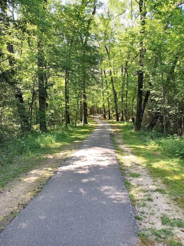 Julieanna Park - Image 1