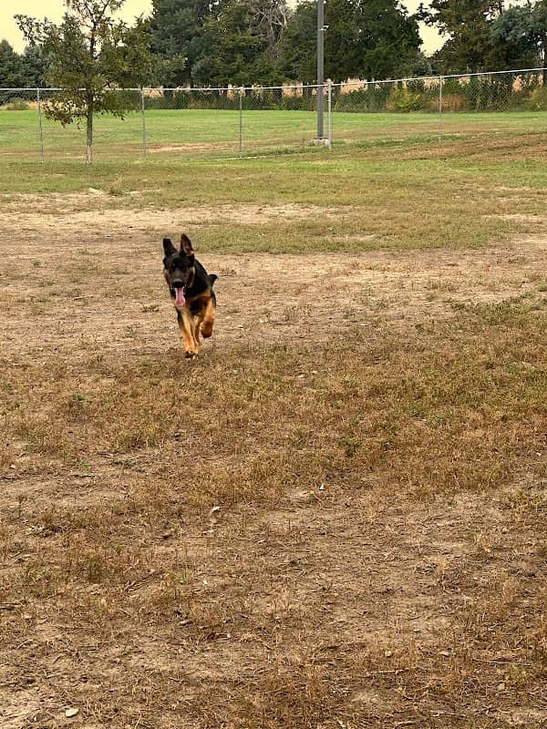 Columbus Bark Park - Image 1