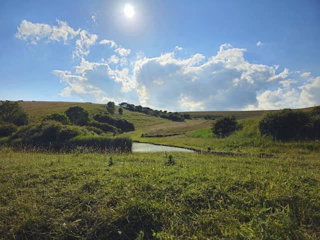 Seaford Head Nature Reserve, Sussex Wildlife Trust - Image 3