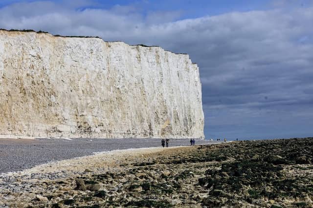 Seaford Head Nature Reserve, Sussex Wildlife Trust - Image 2