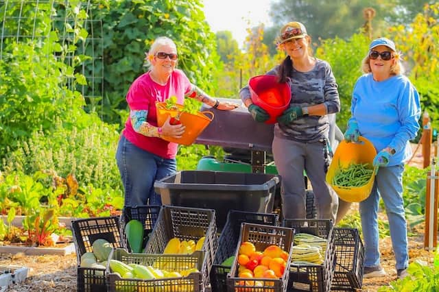 Canyon Springs Garden Outreach - Image 2
