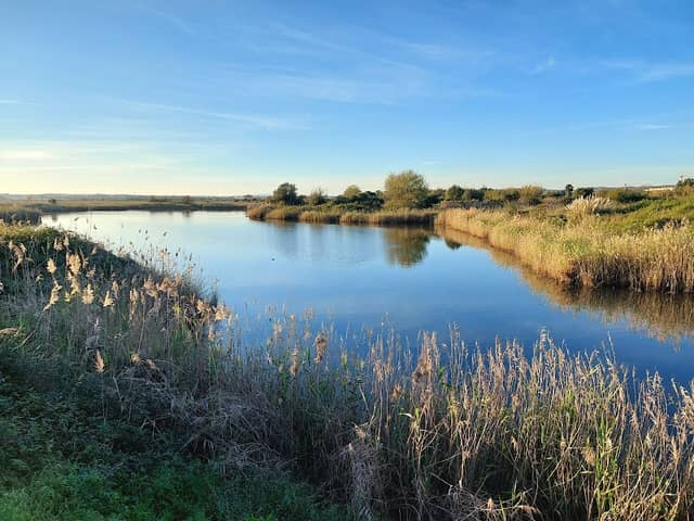 Lago - Image 2