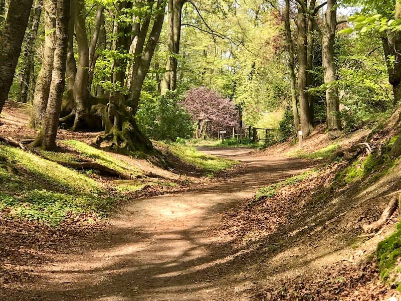 Bovenste Plasmolen - Image 1