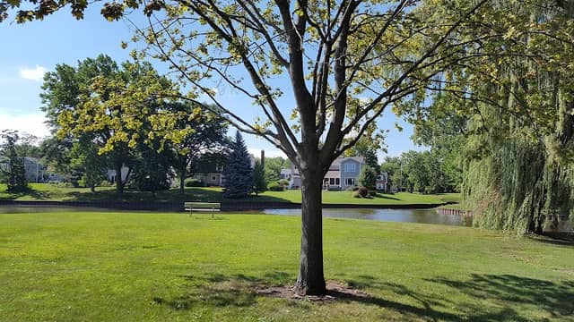 Gray Farm Park & Conservation Area - Image 1