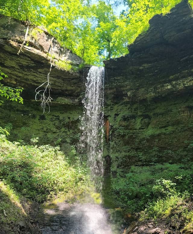 Highway 123 Waterfall - Image 1