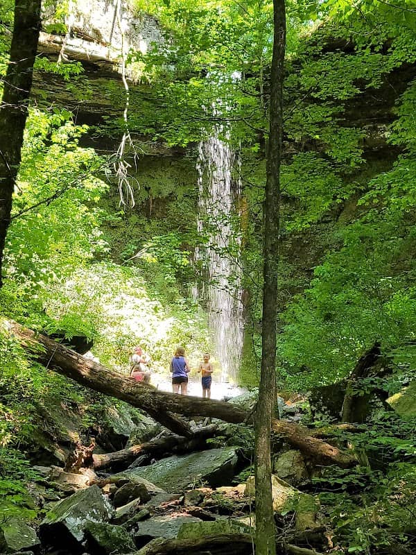 Highway 123 Waterfall - Image 2