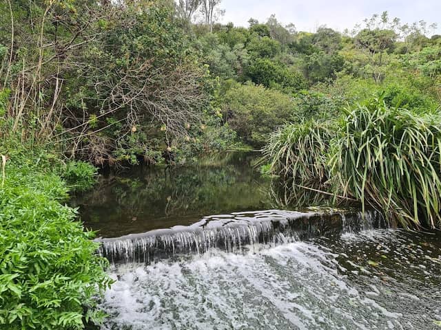 Settlers Park Nature Reserve - Image 2
