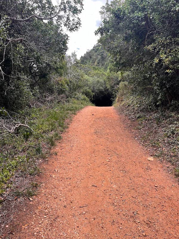 Settlers Park Nature Reserve - Image 1