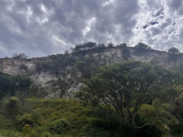 Settlers Park Nature Reserve - Image 3