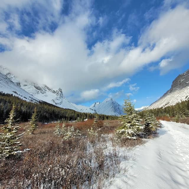 Piper Pass Trail - Image 1