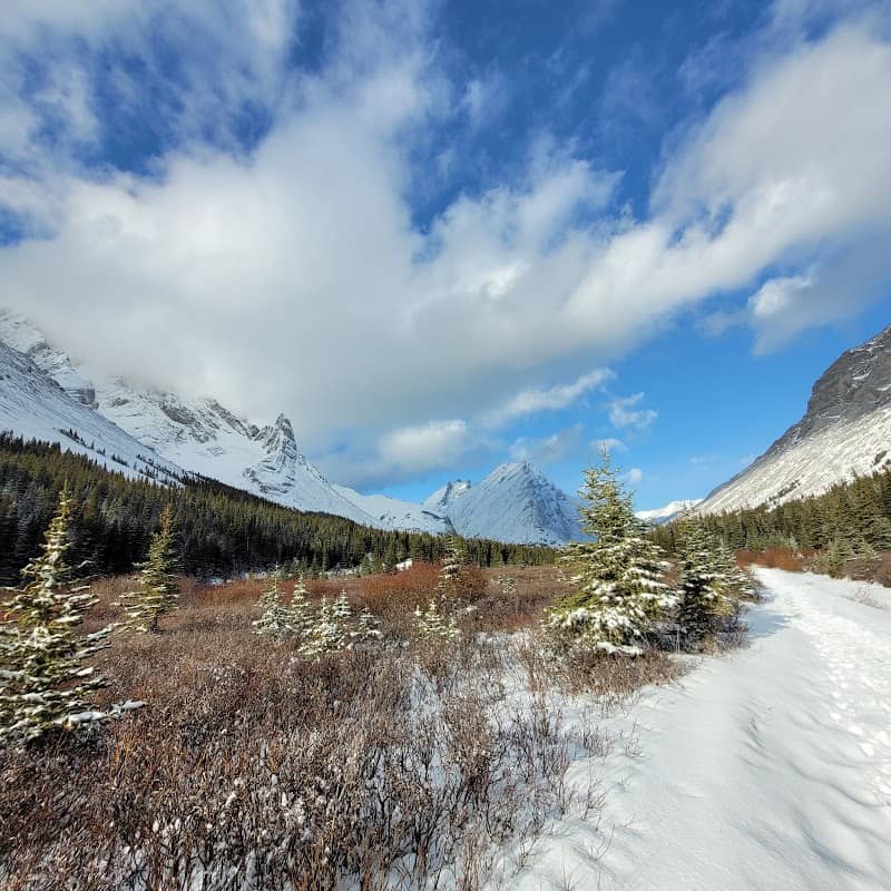 Piper Pass Trail - Image 1