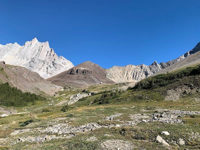 Piper Pass Trail - Image 3