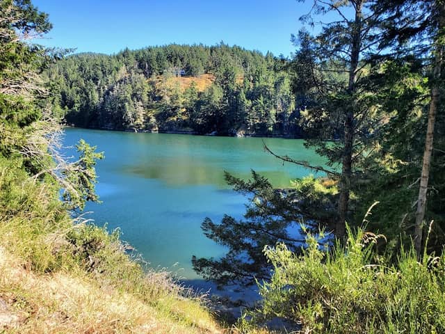 Matheson Lake Regional Park - Image 3