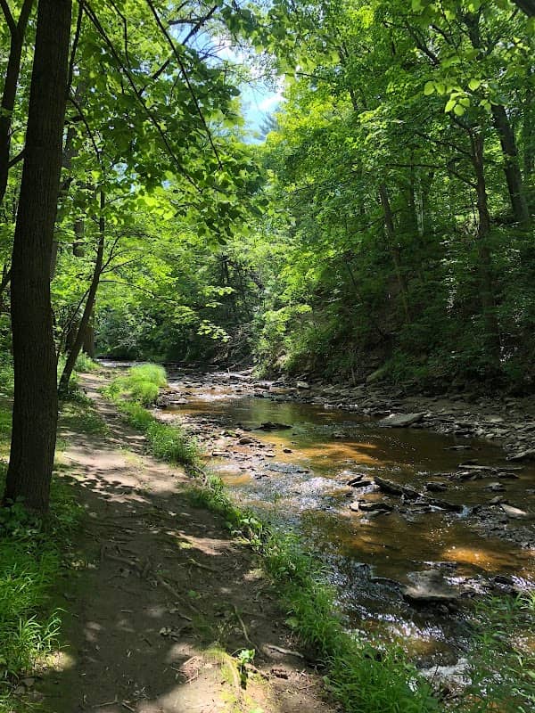 Baird Creek Preservation Foundation - Image 2