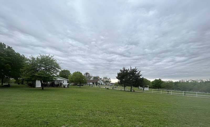 Morney Berry Farm - Image 2