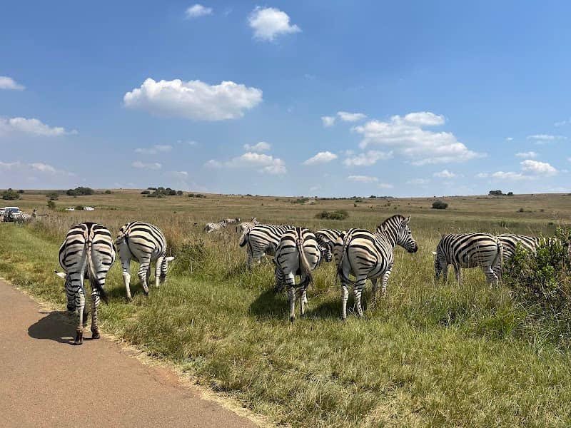 Rietvlei Nature Reserve Entrance Gate - Image 1