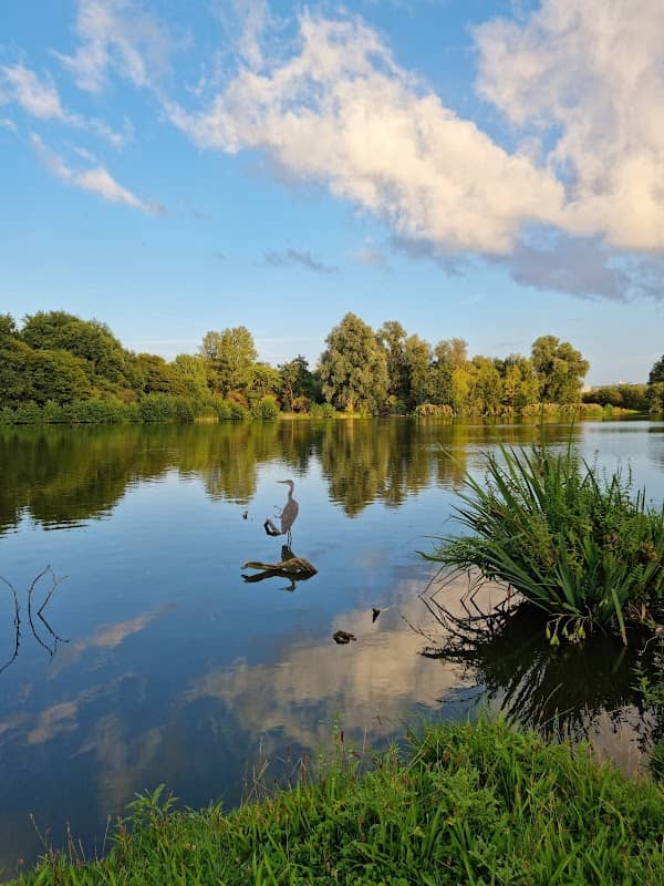 Vijfhoekpark - Image 1