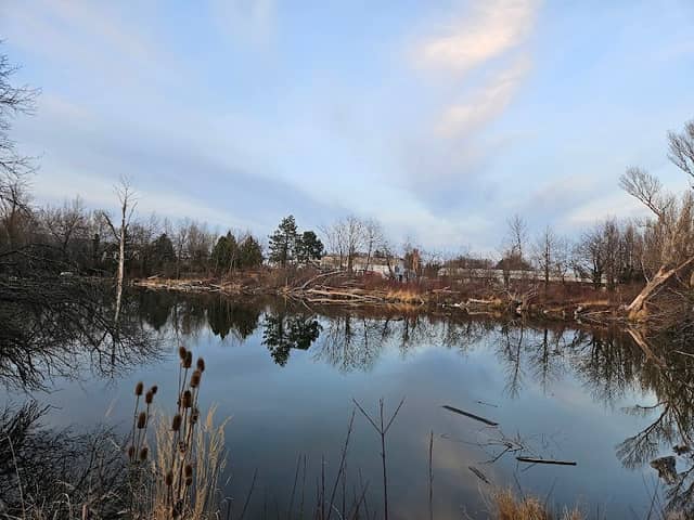 ÖLW teich - Image 1