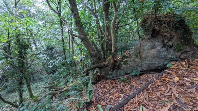 Cairn Nature Reserve - Image 2
