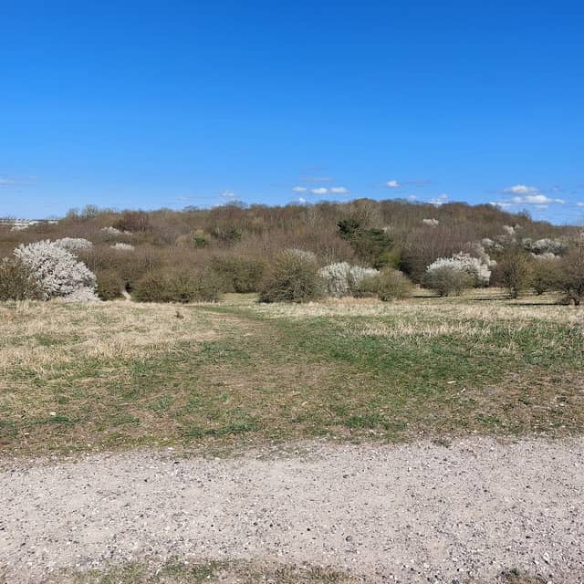 Vestereng - Image 1
