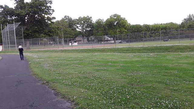 Wolfe Park - Image 1
