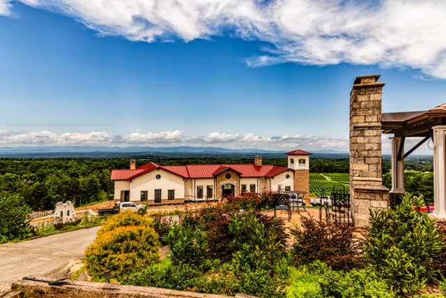 Piccione Vineyards - Image 1