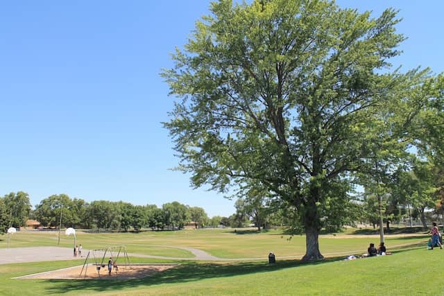 Kurtzman Park - Image 1
