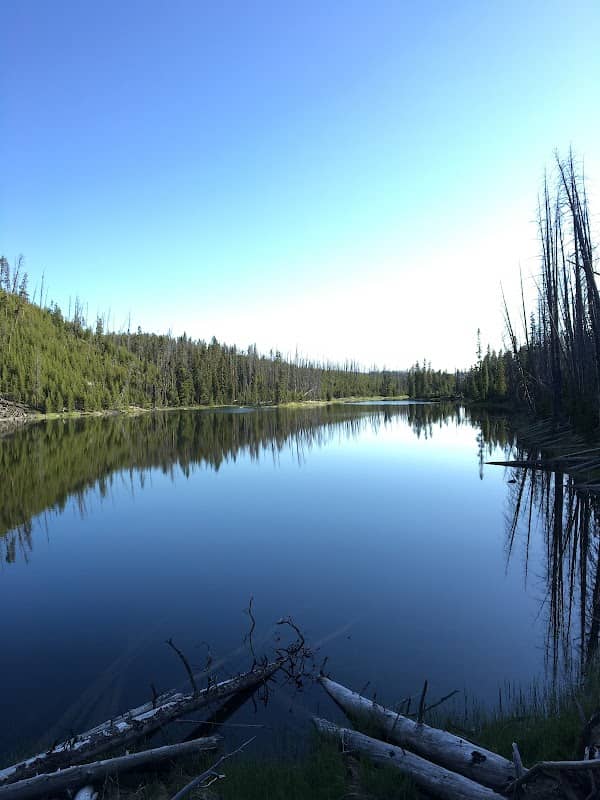 Wapiti Lake - Image 3