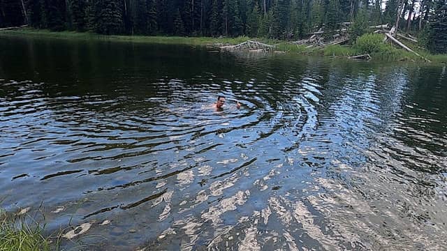 Wapiti Lake - Image 2