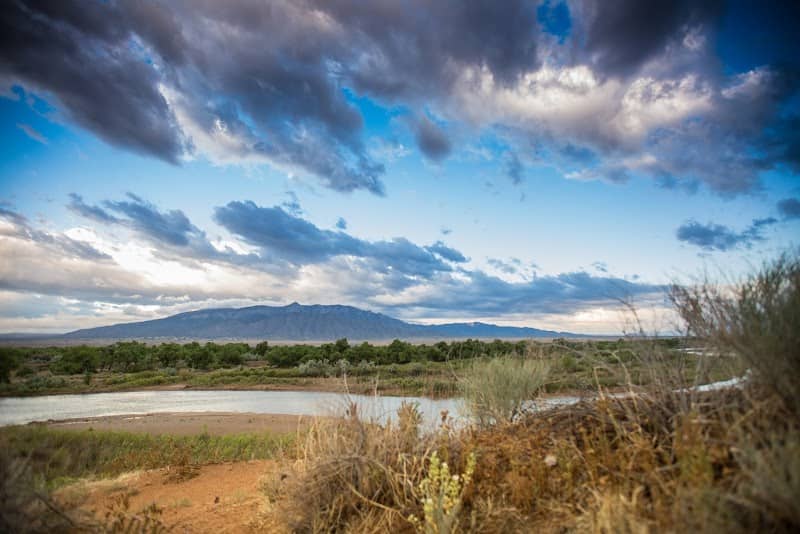Rio Rancho/Corrales Bosque Preserve - Image 2