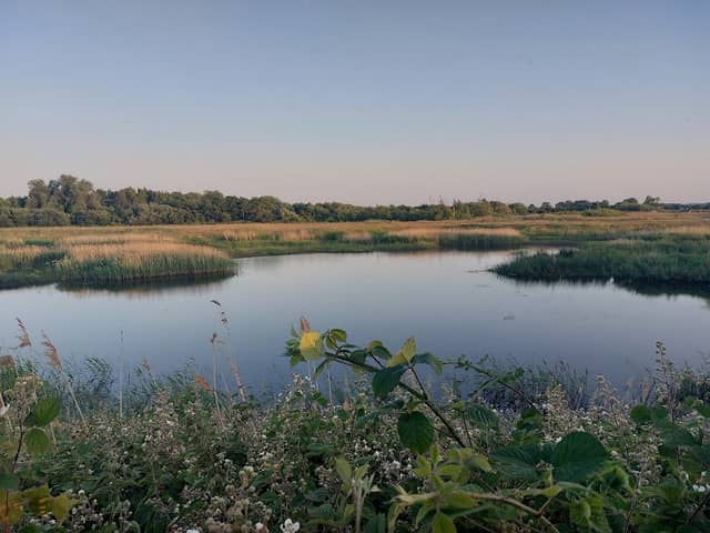 Besthorpe Nature Reserve - Image 1