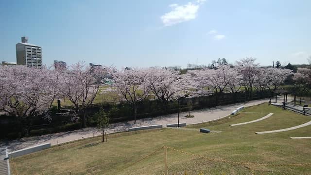 Izumichonishi Park - Image 2