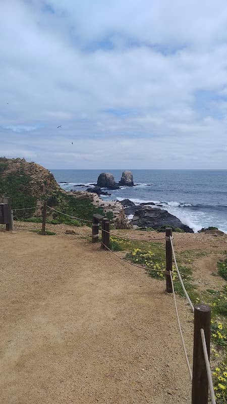Punta de lobos - Image 3