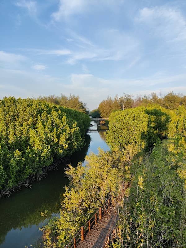 Bird Watching Tower - Image 1