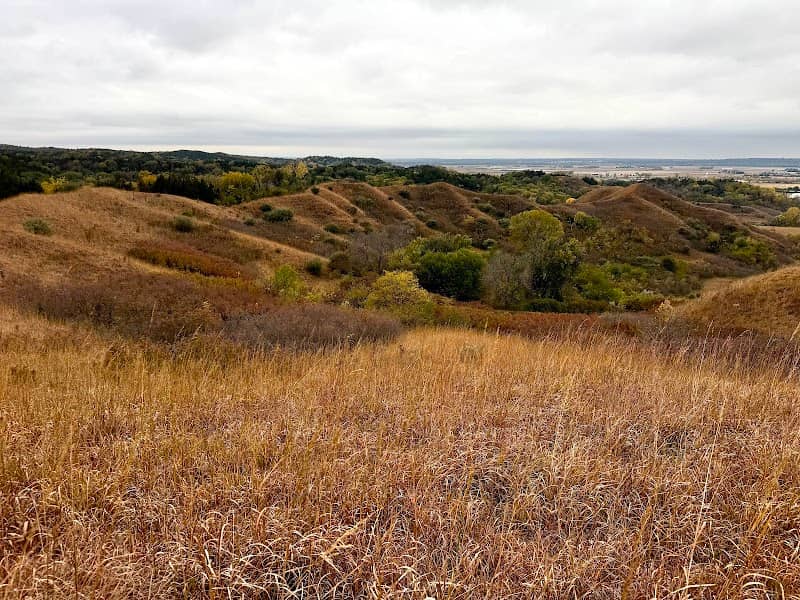 Folsom Point Preserve - Image 1